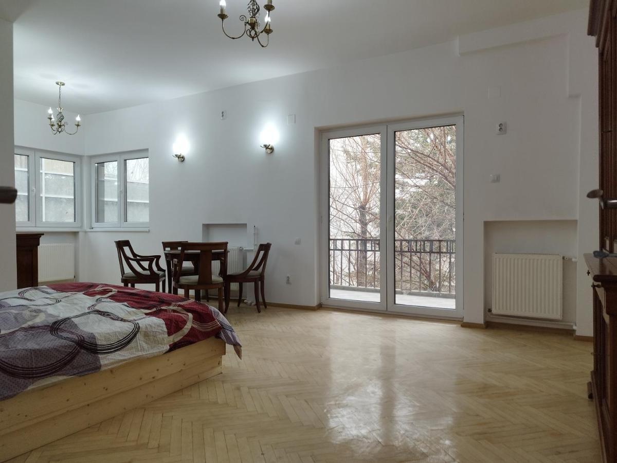 Central Appartment - Heart Of Bucharest - Sector 1 - New Renovated - Open Space Exterior photo